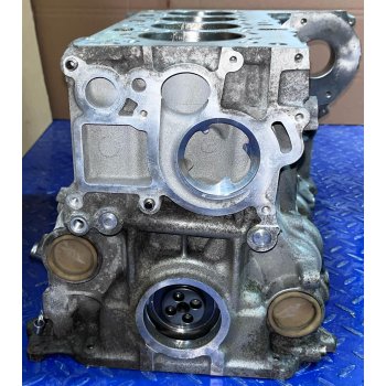 Bloc Motor BMW Reconditionat N47D20C Euro 5/6